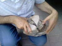 これどんなオーパーツ？銅線がぐるぐる巻きになっている石が出土。2万年前に変圧器があったんかい！と騒ぎに(コソボ)
