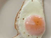 目玉焼きをテキトーに焼いた結果→可愛すぎるフォルムが爆誕　「お見事！」「宿ってますね」と24万人大歓声