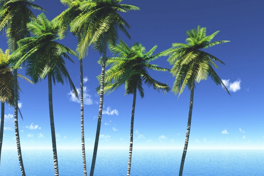 熱中症の予防と対策・深刻化すると命に関わる！？　現役医師が詳細解説