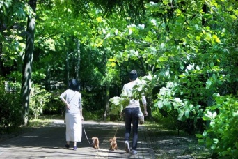 画像はイメージです