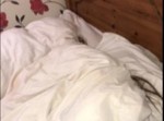 親に内緒で夜遊びするために、少女たちはある行動に出た！