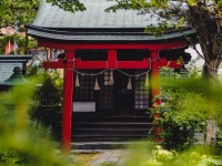 「縁切り神社に行くとヤバい」と言われる理由