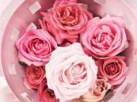 【言ってはいけないクソバイス】男の子を紹介してくれようとした友人にイラッ！　どう切り返す？