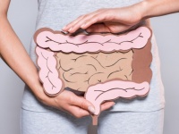 糞便移植（便微生物移植）が、皮膚がんの治療に有効であるとする研究結果