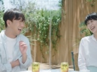 ⒞『麒麟 発酵レモンサワー』