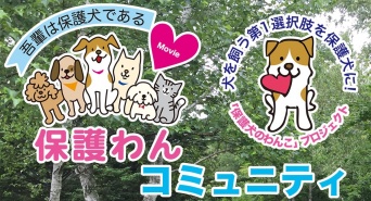 一般社団法人 保護犬のわんこのプレスリリース画像