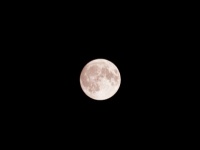 【愛と官能の月占い】今夜は満月！　月の満ち欠けから占う11月26日から12月2日までのラブ運