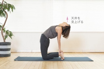 ラクダのポーズの効果とやり方【ヨガの基本】