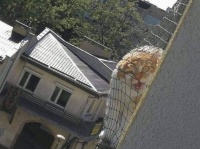 隣人、それは近くて謎めいた存在である。12のお隣さんエピソード画像