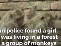 インドのジャングルでサルと暮らしていた少女が救出される