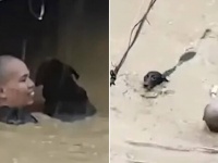 台風で浸水した家から出られなくなった見知らぬ犬を救い出した男性
