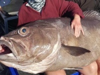 巨大魚ゲットだぜ！いくらなんでもデカすぎるやろ！釣り好きの息子と一緒に釣りに出掛けたお母さん、信じられないサイズの巨大魚をゲットだぜ(オーストラリア)