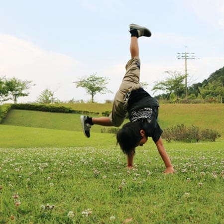 写真はイメージです