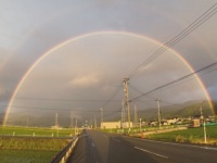 【奇跡の1枚！】職場の人から送られてきた虹の画像が「まるでCG」と話題に