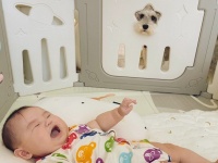 「そのための穴」だったんだ...　赤ちゃん見守る〝お星さまシュナウザー〟に4.6万人悶絶
