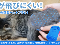 株式会社RICOのプレスリリース画像