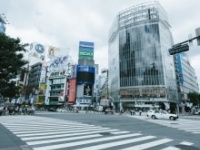 画像はイメージです