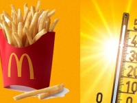 マクドナルドのフライドポテトは購入してからどれくらいの時間までおいしく食べられるのか？実験結果報告（アメリカ）
