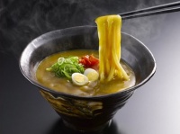 豊橋カレーうどん（画像は豊橋観光コンベンション協会提供）