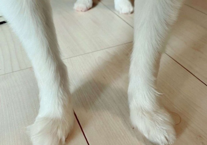 画像はイメージ