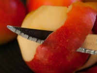 浮気したらどうなると思う？