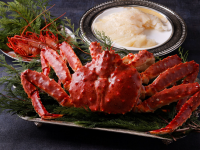 みなとみらいPRセンターのプレスリリース画像