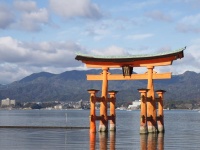 宮島を救う秘策とは？（画像はイメージ）