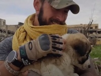 戦禍のシリアから～がれきの山から助けた犬を引き取った心優しきソルジャー