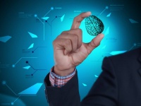 知覚から得た情報を脳に伝達して記憶する符号化メカニズムを解明