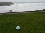 大荒れの海に向かってサッカーボールを蹴飛ばしたら・・・？