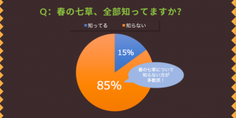 デジタルレクリム株式会社のプレスリリース画像