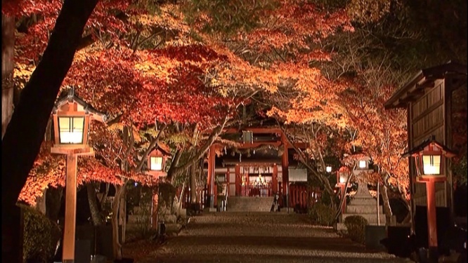 大原野神社ライトアップ「光と水」実行委員会のプレスリリース画像
