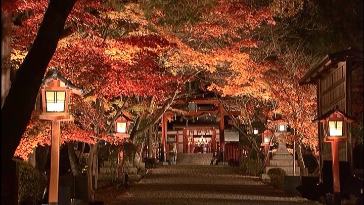 大原野神社ライトアップ「光と水」実行委員会のプレスリリース画像