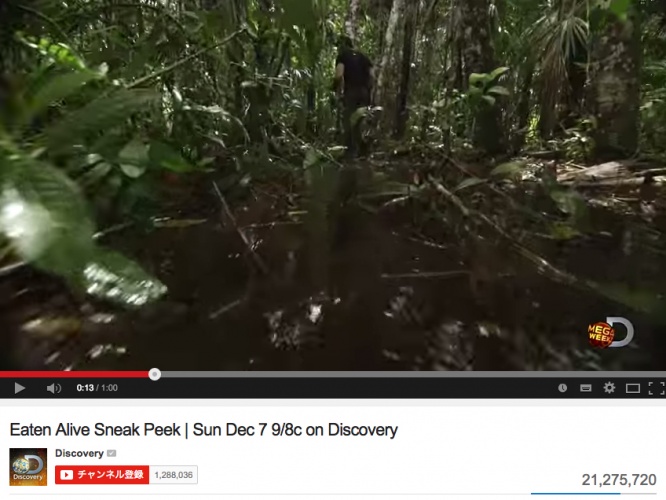 YouTubeチャンネル「Discovery」より