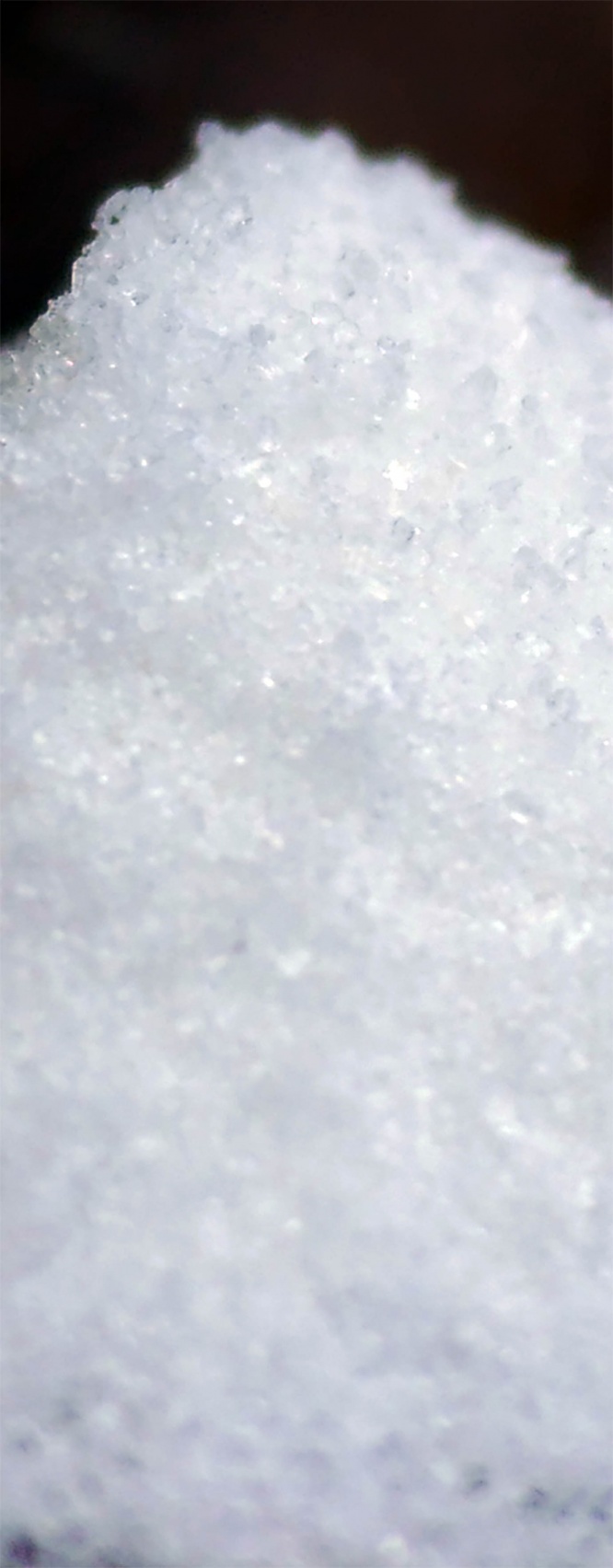 pizzeria-romana-il-pentito-trapani-salt2