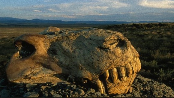 大量絶滅にも利点があった？ 歩行ロボットの実験から絶滅が進化を速め、適応を生み出すことが判明（米研究）