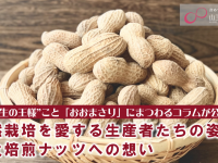 株式会社エムディーのプレスリリース画像