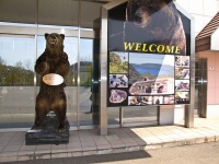 のぼりべつクマ牧場（Jiashiangさん撮影、flickrより）