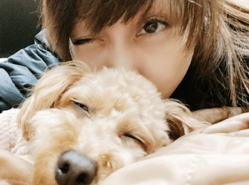 渡辺美奈代、「犬の色が違う…」過剰すぎる写真加工にツッコミの嵐