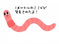 9歳少年が体長1メートルの巨大ミミズを発見！飼おうとしたら両親にダメ出しをくらう※ミミズ出演中