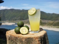 ぶしゅかんを使った「ぶ酎ハイ」（以下画像は四万十ぶしゅかん提供）