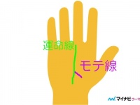 あればモテモテの手相。「モテ線」10種