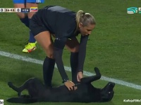 おまえら全員に腹を撫でてもらうまでは去らん。国際女子サッカー試合に犬が乱入