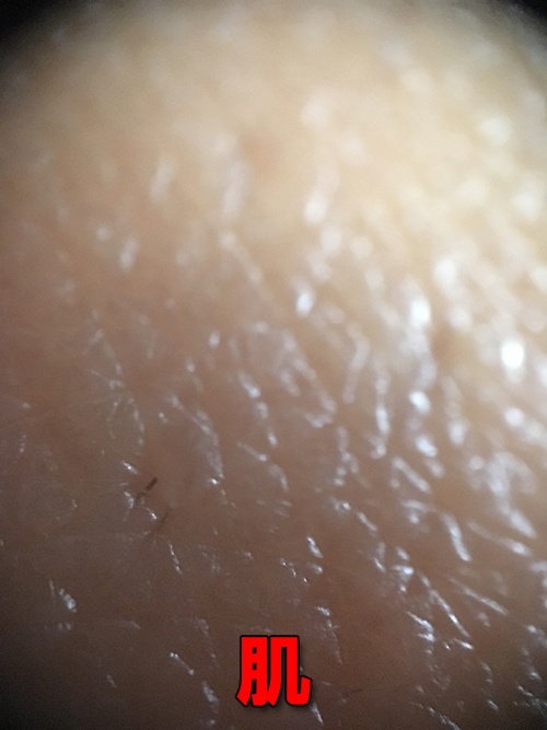 肌