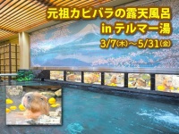 歌舞伎町で「カピバラの露天風呂」に入れるらしい　テルマー湯と伊豆シャボテン動物公園がコラボ