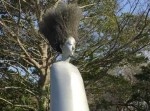 これ風で揺れるんだぜ…　とある公園の“野外彫刻”がトラウマ級に怖い