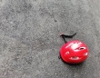 車を運転中、横から飛び出してきた猛スピードの自転車小学生男児。急ブレーキをかけたけど間に合わず（青森県・50代女性）