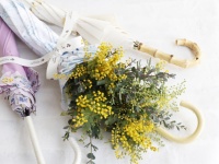 3月8日「国際女性デー」はミモザの『アンブレラブーケ』を贈ろう