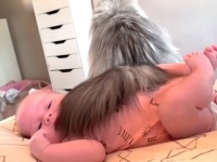 小さな妹をずっと見守っているからね！マラミュートズと猫と赤ちゃんの朝の風景にほっこり