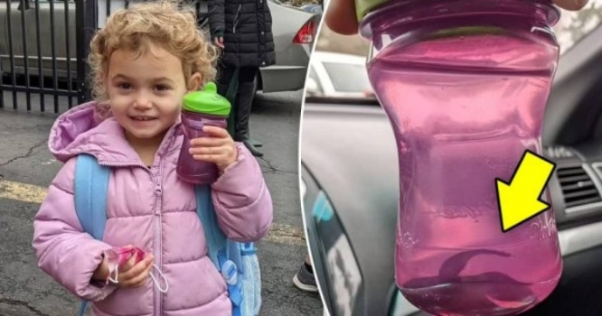 ペットの魚が好きすぎて水筒に入れて幼稚園に連れて行った3歳少女